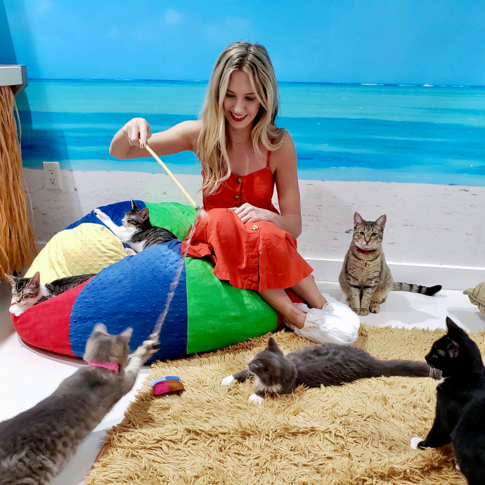 Caring Calm Cat Sitter In Tampa Bay Caring Calm Cat Sitter In Tampa Bay