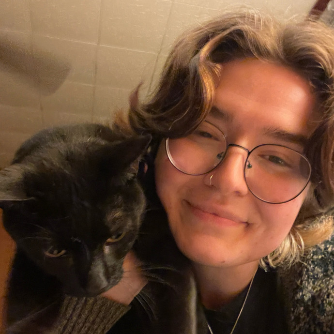 Kiwi's Kitty Care Kiwi's Kitty Care
