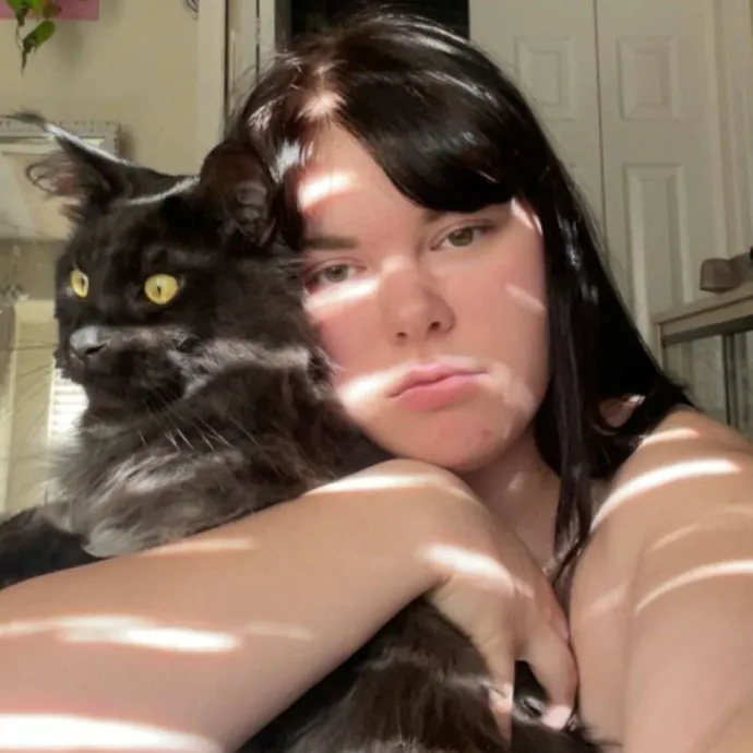 Cat Sitter That Will Come To You