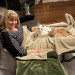 Your Cats New Best Friend