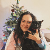 Cat Sitting In Monterey