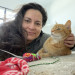 Cat Sitting In Monterey