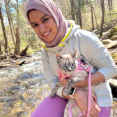 Fluent In Meow  Trusted Playful Care