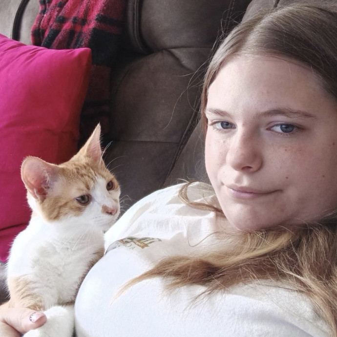 Fishpaw's Kitty Care