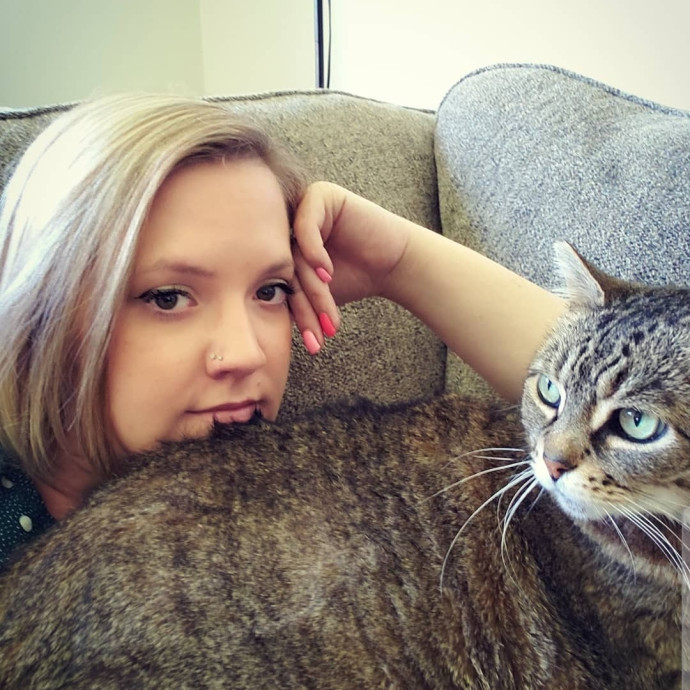 Friendly Feline Companion