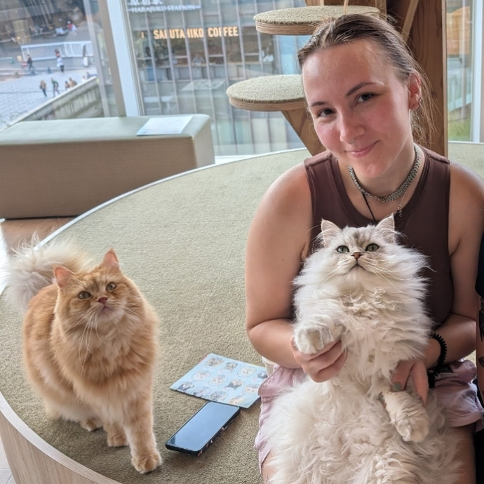 Stress-Free Kitty Care