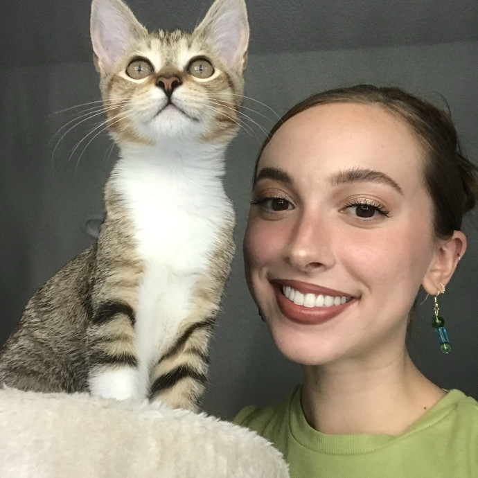 I Love Cats