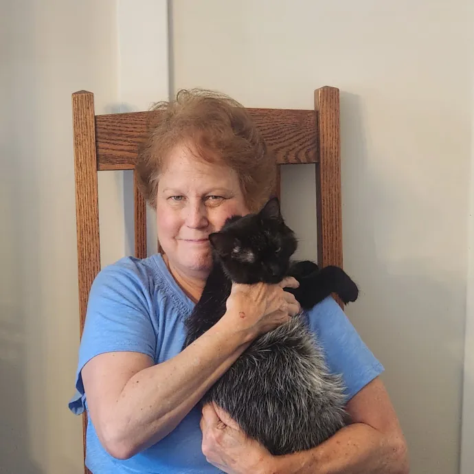 For The Love Of Kitties