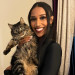 Your Feline's New Bestie