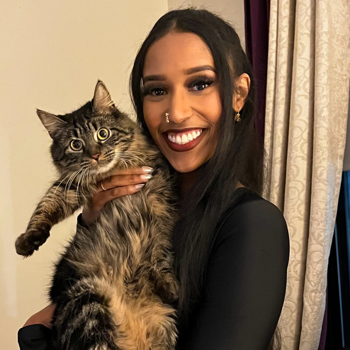Your Feline's New Bestie