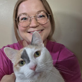 Providing Purrfect Peace Of Mind