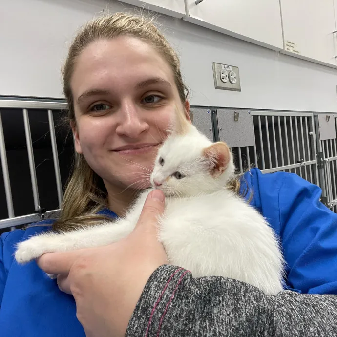 Amelia's Cat-Tastic Cat Sitting