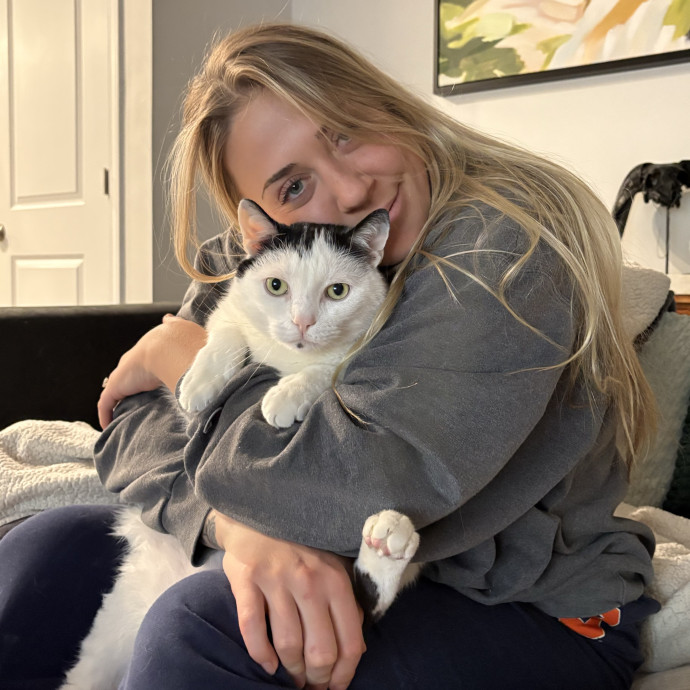 Your Cats New Bestie