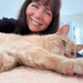 Happy Tails Cat Sits- Experienced Cat Sitter In San Francisco
