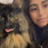 Calm And Caring Kitty Friend