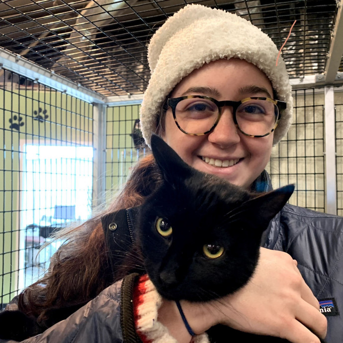 Experienced Cat Sitter