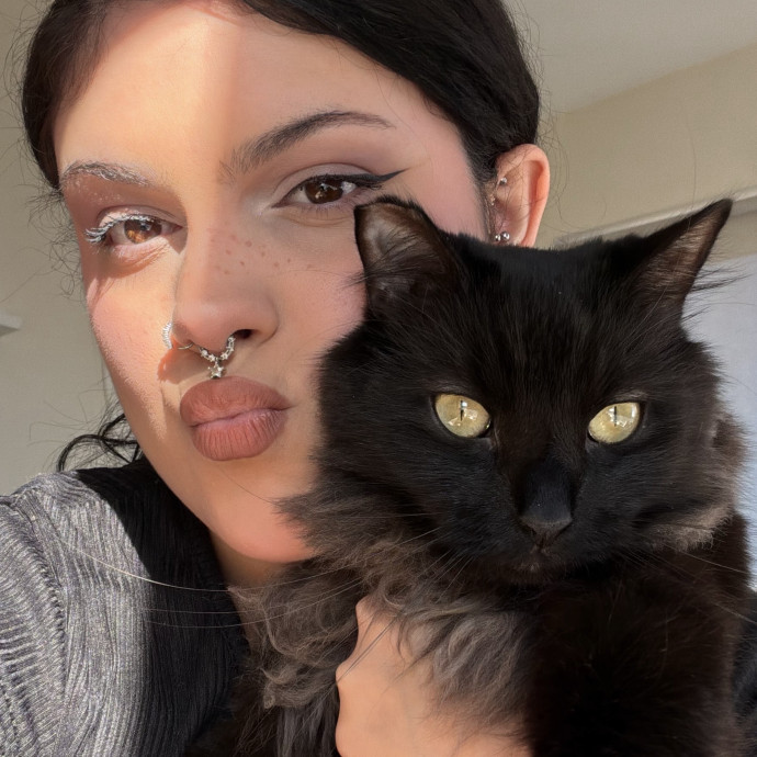 Your Cat's New Bff