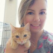 Cat Care Specialist  20 Yrs Experience