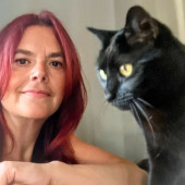 Fear-Free Focused Feline Care