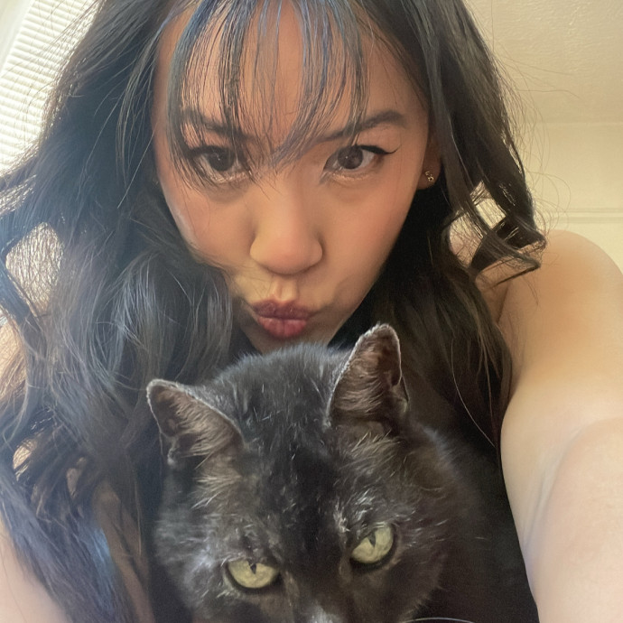 Cat Sitting In Sgv Area