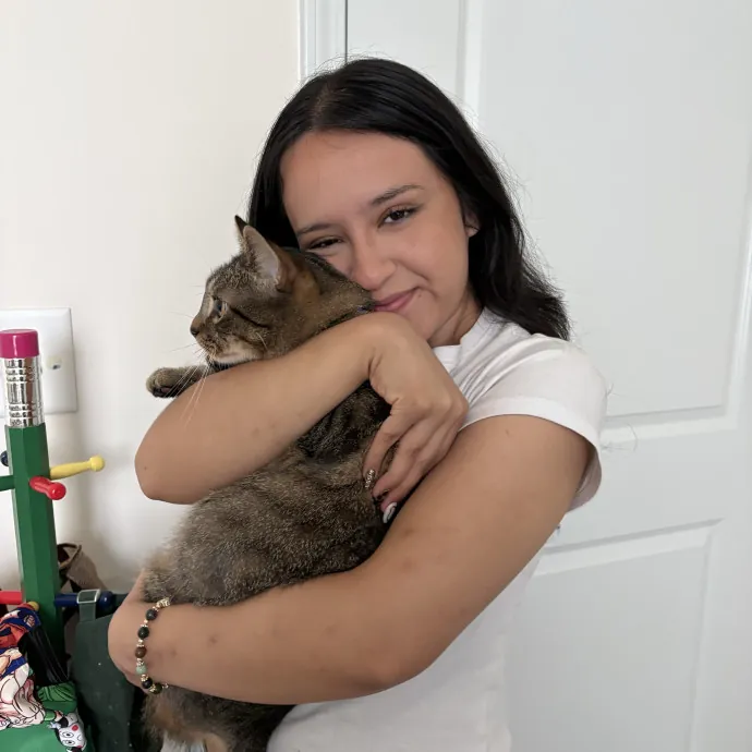 Life Long Cat Lover
