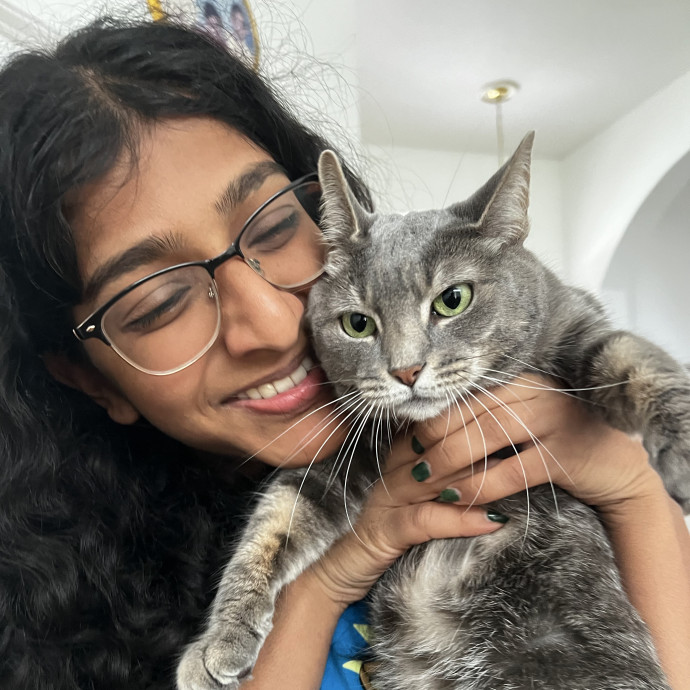 Dependable Care For Your Cat