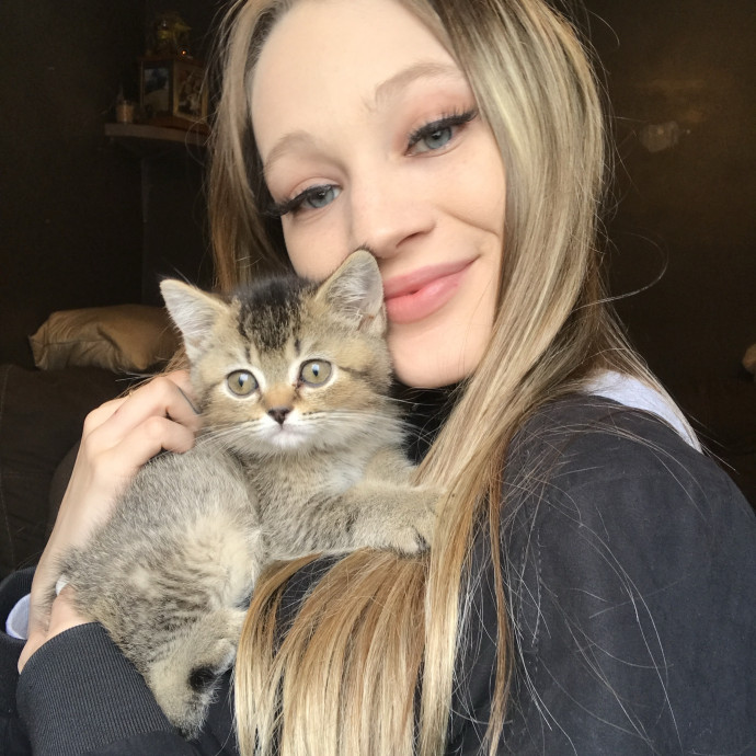 Trusting Reliable And Loving Cat Care