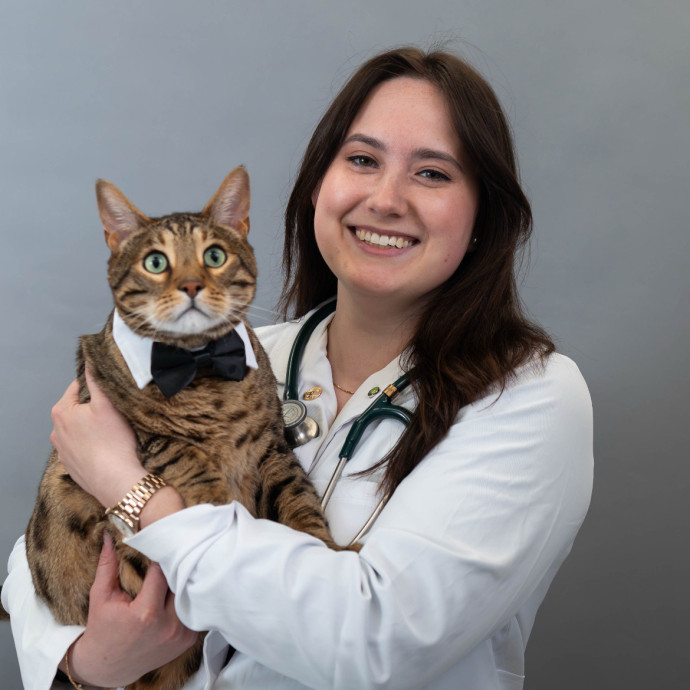 Your Pet Is My Priority