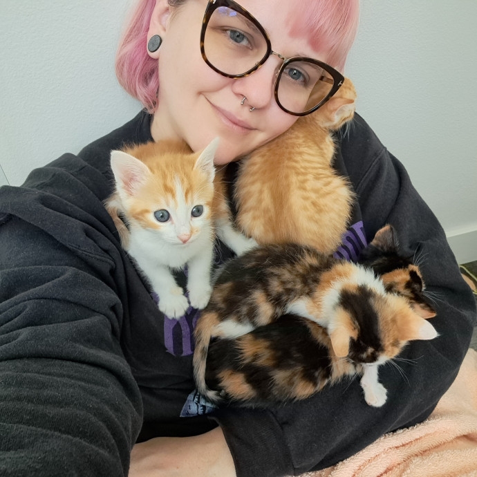 Can I Pet Your Cat Can I Pet Your Cat