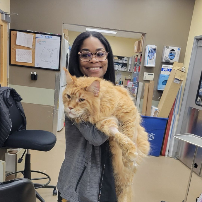 Passionate Vet Tech With A Love For Cats Passionate Vet Tech With A Love For Cats