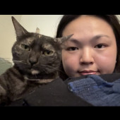 Caring And Calm In-Home Cat Sitter