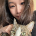 Trusted Cat Sitter With Daily Updates
