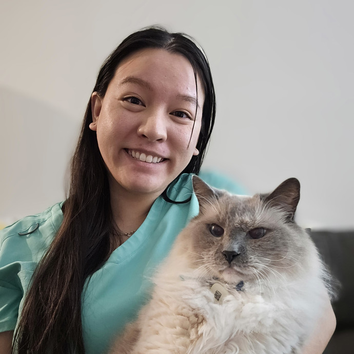 The Cat's Meow Cat Sitter