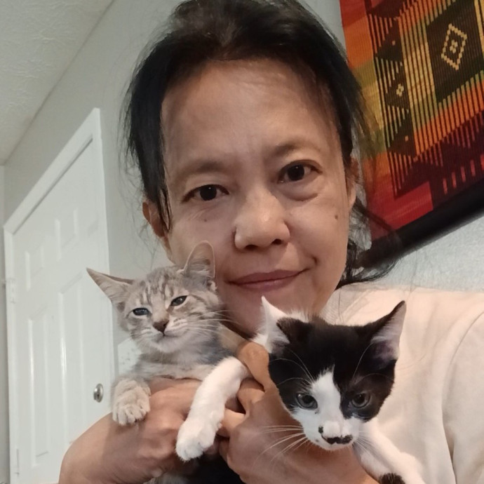 Cats Is Life Meowcare