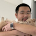 Caring And Reliable Cat Lover