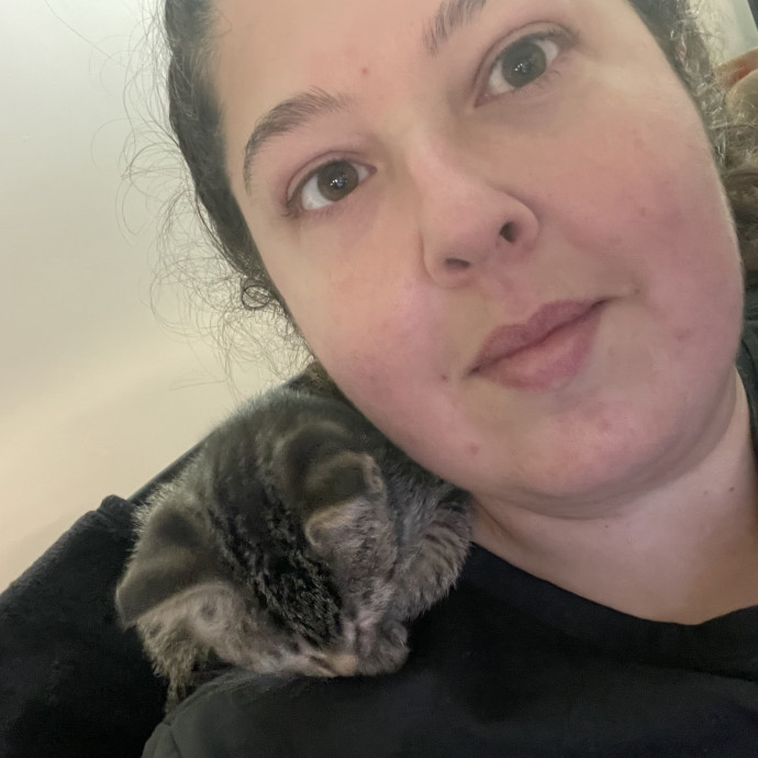 Above  Beyond Care For Every Cat Person