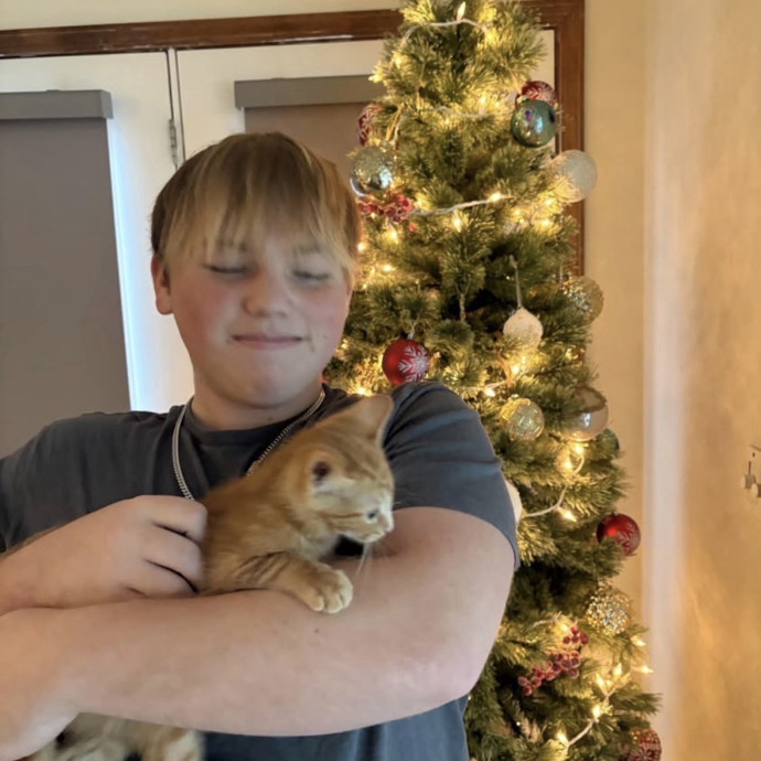 Cat Sitting Always Available