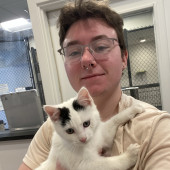 Seeking New Feline Friends