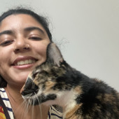 Cat Lover