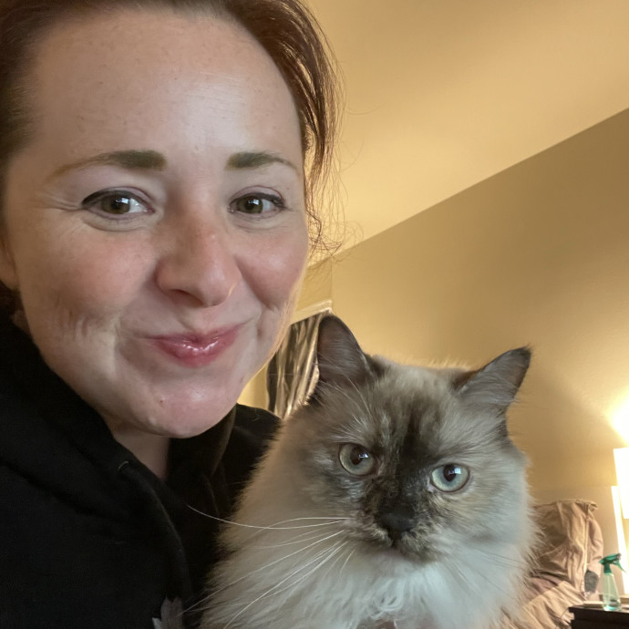 Cat Mother And Your Pet Sitter Cat Mother And Your Pet Sitter