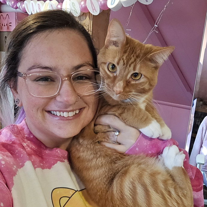 Looking For More Cats To Love Looking For More Cats To Love