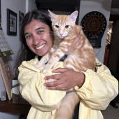 Purrfect Valley Cat Sitter