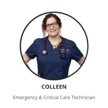Colleen's profile