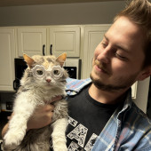 Cat Dad Of 3