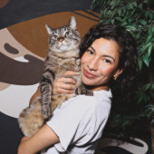 Dylan's Feline Fiesta