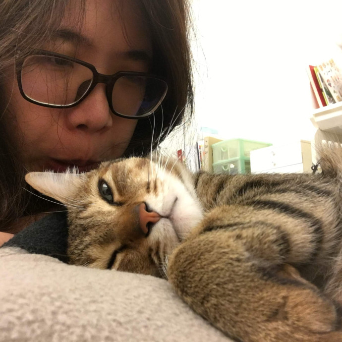 Purrfect Paws Pal Purrfect Paws Pal