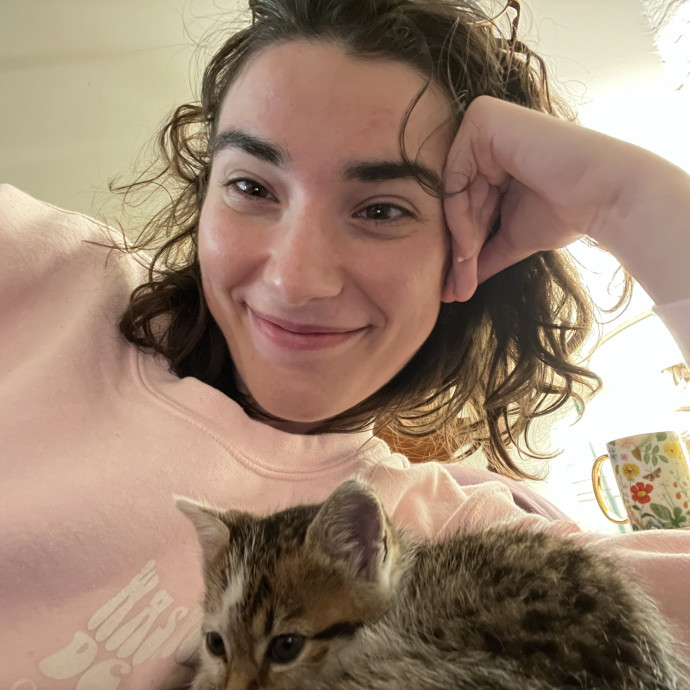 Kodi - Your Cat's Dream Sitter