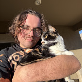 Your Cat's New Secondary Safe Space