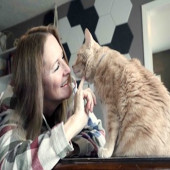 Cat Concierge