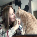 Cat Concierge
